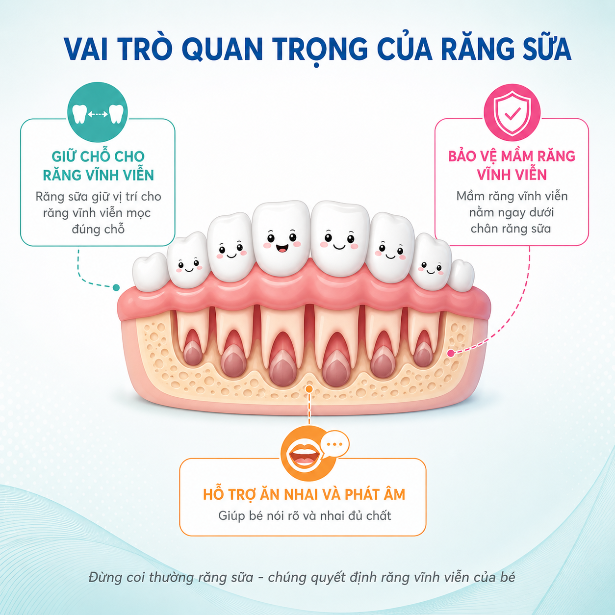 vai-tro-rang-sua-bao-ve-mam-rang-vinh-vien