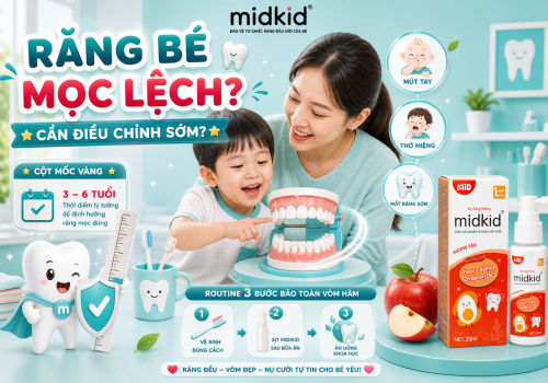 Răng Bé Mọc Lệch Có Cần Điều Chỉnh Sớm? Giải Đáp Từ Nha Sĩ