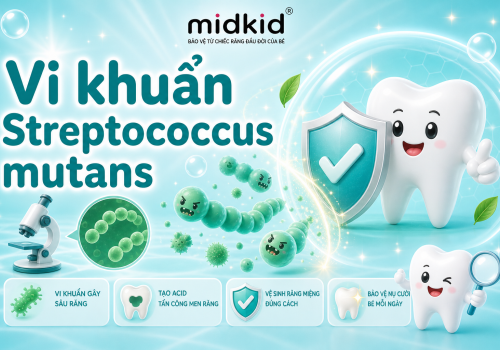 Vi khuẩn streptococcus mutans: Nguyên nhân gây sâu răng ở trẻ