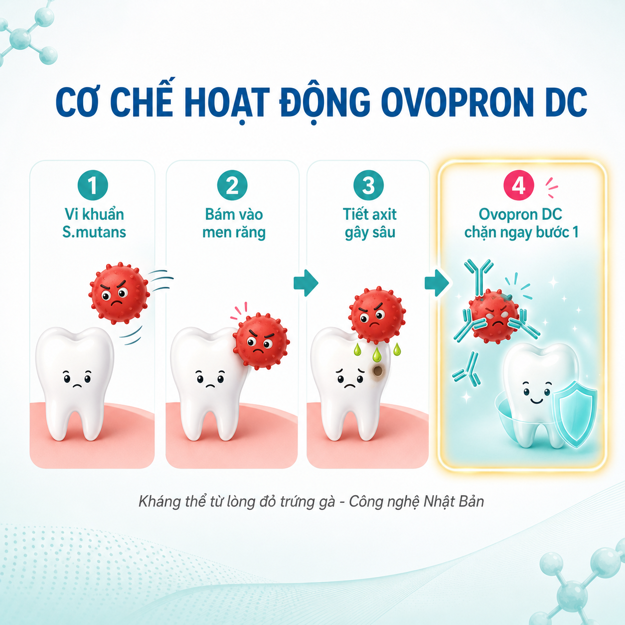 co-che-hoat-dong-ovopron-dc-chong-sau-rang